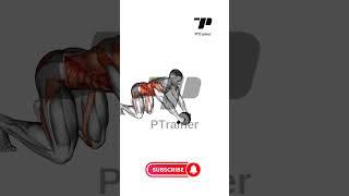 WHEEL ROLLOUT WAİST - Full Body Cardio #fitness #bodybuilding #shorts