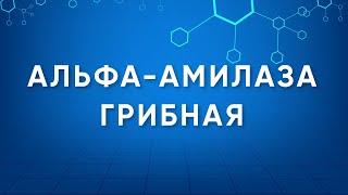 Альфа-амилаза грибная Амилоризин Назначение. Производство. Применение. Энзимология в деталях.