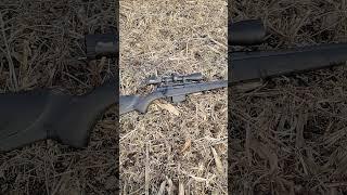 Stevens 334 one of the best budget hunting rifles out there