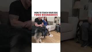 How to teach your dog food boundaries. Be patient #dogtraining
