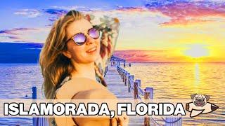 Best Things To Do In Islamorada Florida