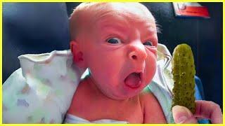 Funny Baby Love Food Baby Eating Compilation  5-Minute Fails