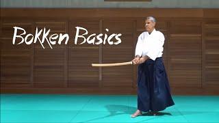 Bokken Basics and 8 Suburi - Introduction to Chiba Senseis Weapons System #1