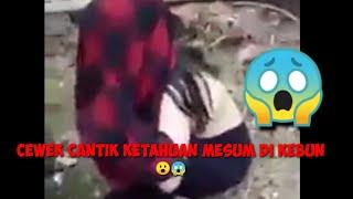 CEWEK CANTIK ketahuan mesum dikebun sawit digrebek warga