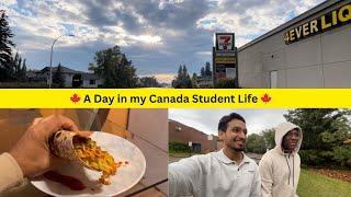 Exploring Olds Alberta Taco Bell DIY College Fun and Local Adventures 