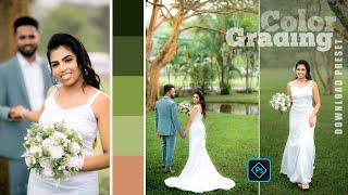 Color grading in photoshop  camera Raw Preset Free Download  Professional Color Grading