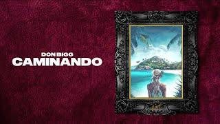 DON BIGG - Caminando  Official Lyric Video Clean Version