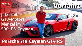 Porsche 718 Cayman GT4 RS Noch extremer geht es nicht Fahrbericht  Review auto motor und sport