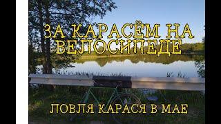 На велосипеде за карасём  Ловля карася в мае