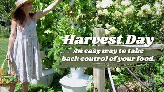 Simple living Vlog. Aeroponic tower homesteading.