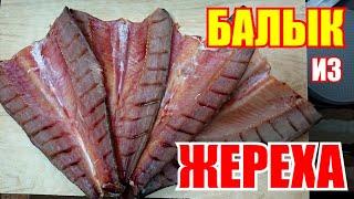 Самый вкусный балык из жереха