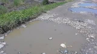 VIDEO Lihat Jalan Berkubang di Munte Luwu Utara