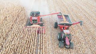 The Trucks Cant Keep Up South Dakota Corn Harvest 2022 Drone Footage