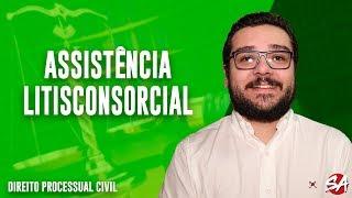 ASSISTÊNCIA LITISCONSORCIAL  Intervenção de Terceiros  Direito Processual Civil