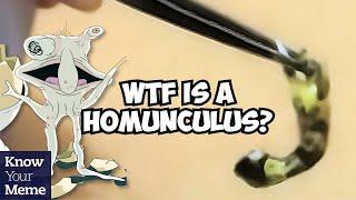 What is A Homunculus? Smiling Friends Reference To Russian Experiment Videos Explained