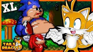 SONIC XL trains with Knuckles??? - Tails Reacts to Sonic Oddshow 3