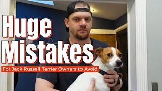 HUGE Mistakes Jack Russell Terrier Owners Make Avoid These For Success #jackrussellterrier #jrt