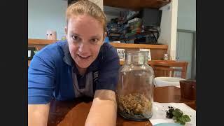 How to make an Upcycled Terrarium with Belinda