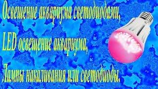 Освещение аквариума светодиодами LED освещение аквариума Лампы накаливания или светодиоды.