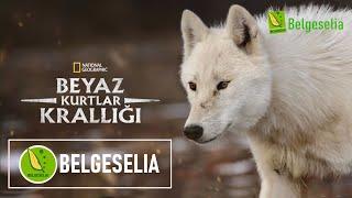 Beyaz Kurtlar Türkçe Dublaj HD Belgesel izle  Belgeselia