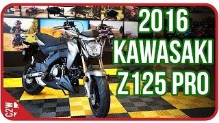 Kawasaki Z125 Pro  First Ride