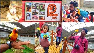 Peeku Park Yercaud  Birds Park & Pet Farm at Peeku Park Yercaud  Pet Farm Yercaud அரியவகை பறவைகள்