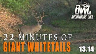 ULTIMATE Deer Hunting Compilation