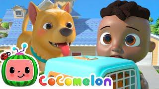 New House Song Singalong with Cody  CoComelon Kids Songs