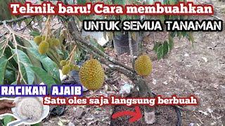 TEKNIK BARU Cara membuahkan durian dan semua tanaman yang berbuah