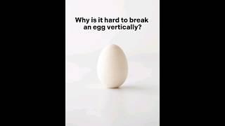 why is it hard to break an egg vertically? #egg #viralreels #ytshorts #shorts