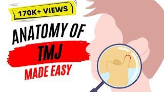 Anatomy of TMJ  Temporomandibular joint 