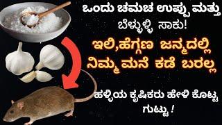 ಇಲಿಗಳ ಕಾಟವೇ? ಇಲ್ಲಿದೆ ಪರಿಹಾರ ಹಳ್ಳಿಗಳಲ್ಲಿ ಕೃಷಿಕರು ಮಾಡುವ ಸೂಪರ್ Tips  Rat Repellent with Salt  Garlic