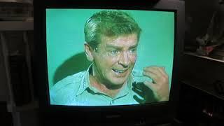 Admiral Nelson Creates a Freeze-dry Plant Man on the 2000 Sharp Color Television Model 27N-S100