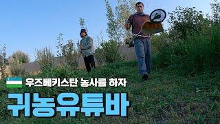 우즈베키스탄 귀농유튜바의 하루 {세계여행1-85}