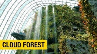 A Tour of Gardens by the Bay in Singapore Part 2 – Cloud Forest