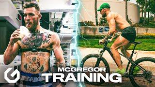 Conor McGregor Prepare for Combat Training 2021