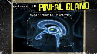 The Pineal Gland extremely detailed explanation
