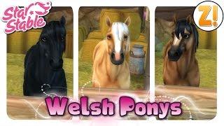 Star Stable Das Welsh Pony PFERDEKAUF  Lets Play  GERMANDEUTSCH