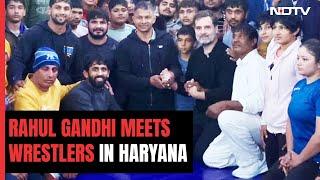 Rahul Gandhi Meets Wrestlers In Haryana