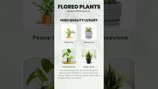 www.floreoplants.nl - Discover our stunning range of luxury #plants #nature #plant #life #luxury