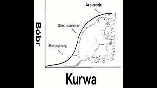 Bóbr kurwa