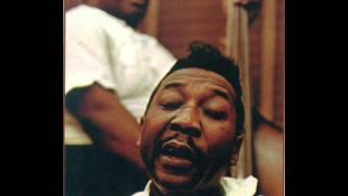 Muddy Waters - Good Morning Little School Girl