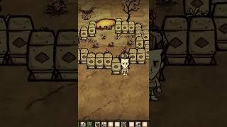 АфК ферма БАБОЧЕК в донт старв тугезер #dst #гайд #дст #донтстарв #dontstarve #рек #неголодайка #топ