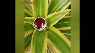 Yaquth Ahmar Ruby Gem Topaz Kochi  realgems.online Watsapp 7902673522