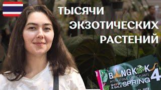 Международная ВЫСТАВКА-ПРОДАЖА растений в ТАИЛАНДЕ  International EXOTIC PLANTS show and sale 2024