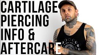 Cartilage Piercing Info & Aftercare  UrbanBodyJewelry.com