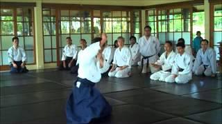 Institut Aikido Indonesia Special Training with Seiji Ido Sensei Suginami Aikikai japan