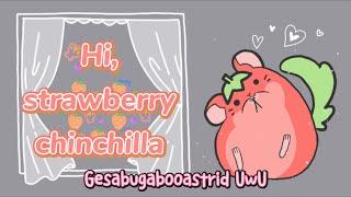 Strawberry Chinchilla Lyrics + Cover Video  Cover by Gesa **SPECIAL 12K SUBS**