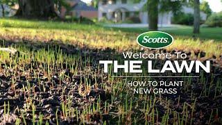 Welcome To The Lawn How to Plant New Grass