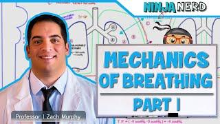 Respiratory  Mechanics of Breathing Pressure Changes  Part 1